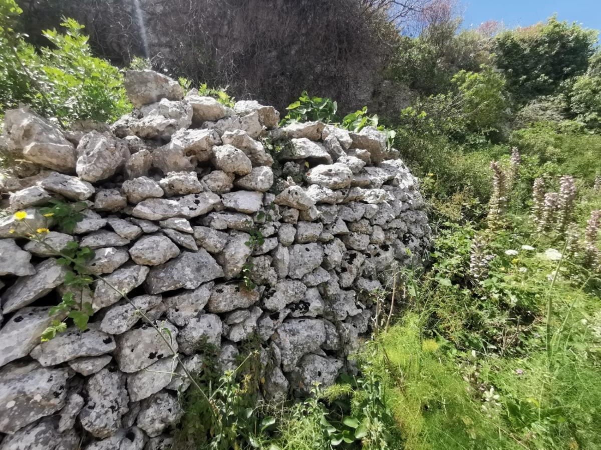 Anna 1924 Bed & Breakfast Gagliano del Capo Bagian luar foto